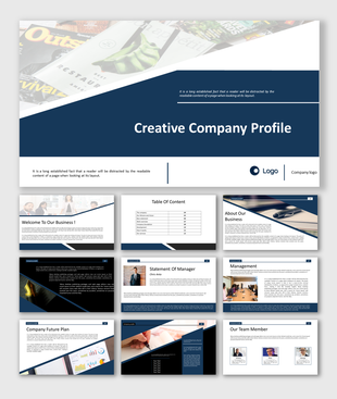 Company profile slide deck in blue theme, featuring business overview, future plans, management, and team members.