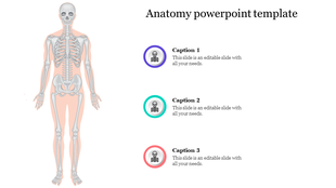 Anatomy slide featuring a human skeleton illustration and three circular captions in purple, teal, and red on the right.