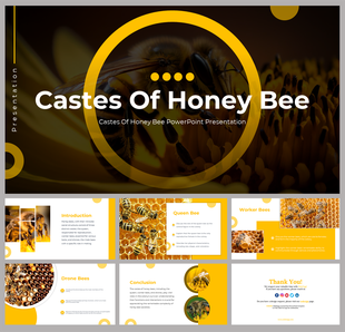 A pack of castes of honey bee slides featuring a honey bee and vibrant yellow accents with text descriptions.