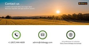 Contact slide with a scenic sunset photo, showing icons for phone, email, and website in green circles with details below.