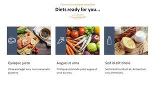 Slide showing salmon platter, assorted vegetables, and cheese with milk, each under a food icon and title with description.