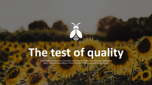 Honey Farming PowerPoint presentation slide featuring sunflowers with a bee icon and a placeholder text.