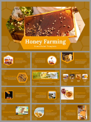 A pack of honey farming slides featuring images of bees and honeycombs, with many sections on a golden brown backdrop.
