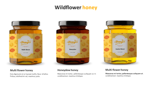 Product slide showing three types of honey jars in a row with unique label names and placeholder descriptions underneath.