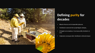 Beekeepers inspecting hives outdoors with a sunflower inset image and text on purity standards.