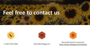 Contact us slide with sunflower field backdrop, hexagonal icons in yellow, red, and orange for phone, email, and website.