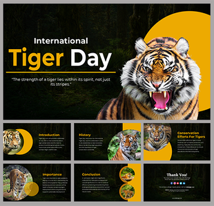 Slide deck featuring images of roaring tigers with yellow accents, focusing on conservation efforts, history, and importance.