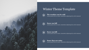 Winter slide layout with moody forest image and white snowflake icons accompanying text items about cold, snow, and rain.