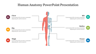 Best Human Anatomy PowerPoint Presentation Template