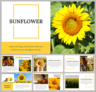 Sunflower image with large yellow petals and green leaves, with a title and description box on the left.