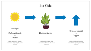 Bio slide showing the process of photosynthesis sunlight, carbon dioxide, and water transforming into glucose and oxygen.