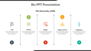 Five-step diagram displaying the biological hierarchy from cell to organism, each with a representative icon and text.