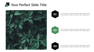 Table of contents slide featuring a square box with leaves image, and three hexagonal captions for section highlights.