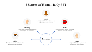 Five icons for the human senses of eye, ear, nose, mouth, and hand, are connected to a central circle, each with text.