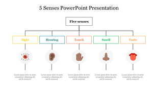 Diagram illustrating the five senses sight, hearing, touch, smell, and taste with corresponding icons.