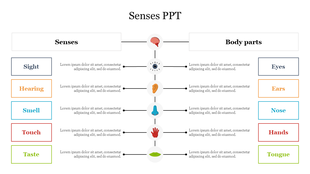 Slide showing a chart with five central icons connecting senses to body parts in colored boxes on each side.