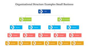 Organizational structure chart featuring a CEO leading to vice presidents, directors,managers, and associates.