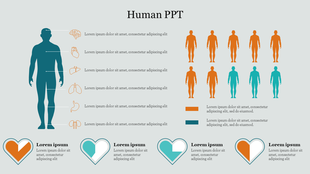 Human anatomy PowerPoint slide featuring labeled body parts, demographic icons, and colorful heart graphics.