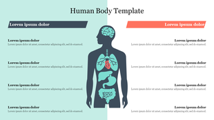 Human body silhouette showing internal organs on a split slide of teal and white, with text on each side.