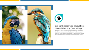 Creative PowerPoint Presentation On Birds Template 
