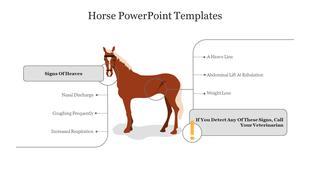 Illustrated horse slide explaining symptoms of heaves like increased respiration and abdominal lift at exhalation.