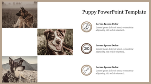Puppy-themed slide featuring three sepia-toned dog images and three icon sections for captions on the right.