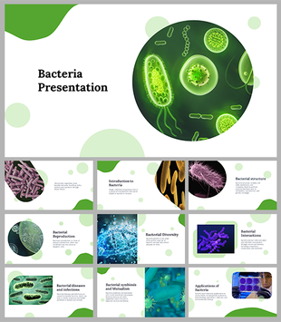 Bacteria themed slide deck with green design, covering bacterial structure, diversity, reproduction, and applications.