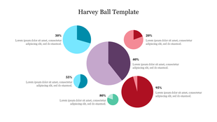 Infographic slide with colorful Harvey ball chart showing five different completion levels ranging from 20 to 95 percent.