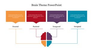 Central brain illustration divided into four segments in orange, red, purple, and blue, linked to matching text boxes above.
