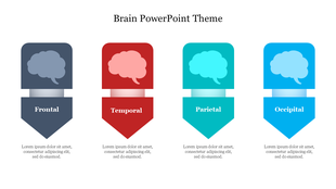 Infographic with four labeled brain icons in gray, red, green, and blue arrow shapes, representing different regions.