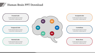 Effective Human Brain PPT Download Presentation Slide 