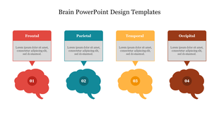 Infographic showing four brain anatomy diagrams in red, blue, yellow, and brown, paired with text box above.