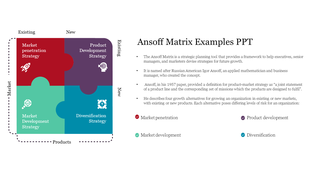Segmented puzzle design in red, purple, teal, and blue, illustrating strategic planning categories, with textual details.