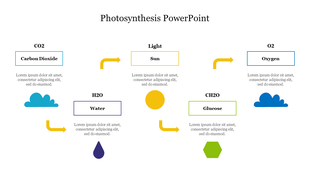 Photosynthesis process diagram with labeled boxes for carbon dioxide to oxygen, showing arrows for flow direction.