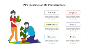 Photosynthesis-themed slide featuring plant caretakers on the left and descriptions of cell structures, on the right.