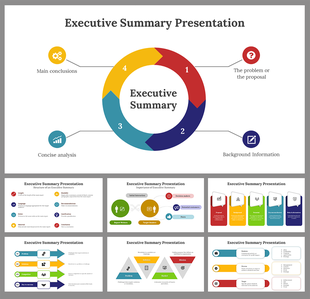 Executive Summary slide deck outlining components with different colored layout designs with icons.
