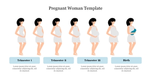 Illustration of a woman progressing through pregnancy stages, from the first trimester to birth, labeled with blue boxes.
