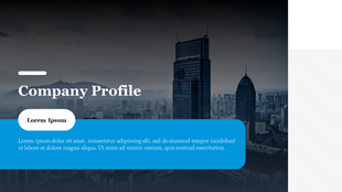 Professional company profile slide featuring a city skyline background with a blue text box for content.