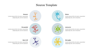 Slide featuring six neuron types in circular icons, in orange, red, purple, blue, green, and yellow, arranged in two columns.
