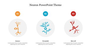 Three neuron illustrations in orange, blue, and red, each within a circle, with numbers at the top and captions below.