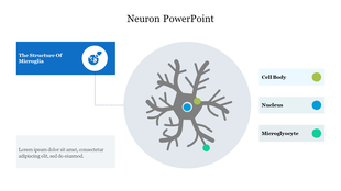 Slide with stylized neuron illustration, annotated with color-coded legend for Cell Body, Nucleus, and Microglocyte.