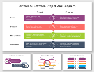 PowerPoint slides outlining the distinctions between a project and a program in different colorful layout designs and icons.