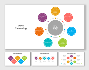 Data cleansing with circular infographic of eight colored steps around a central icon, plus strategy and process slides.