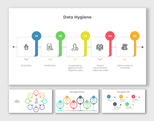 A flowchart slides illustrating the data hygiene process with steps in different layout designs accompanied by icons.
