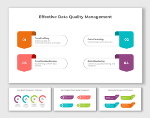 Data quality management slides with different colorful layout designs and text descriptions.
