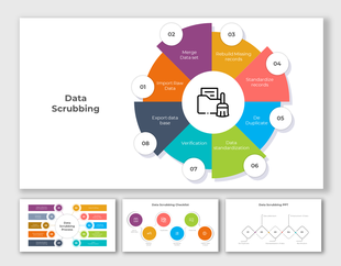 Data scrubbing process diagram PPT slides showcasing steps with different colorful layout designs and icons.