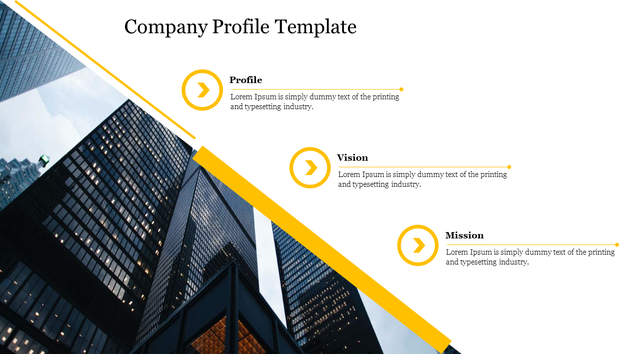 A company profile slide layout covering what the business does, who it serves, and its background.