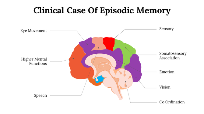 Slide illustrating the colorful brain's role in episodic memory, highlighting key functions and regions.