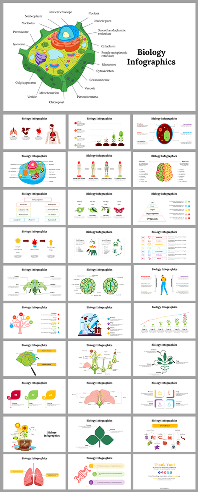 Biology slide deck showing a colorful labeled diagram of a plant cell with key parts from cytoplasm, to chloroplast.