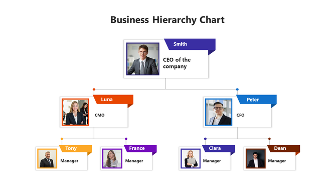 A business hierarchy chart template showing materials and methodology with percentage values.